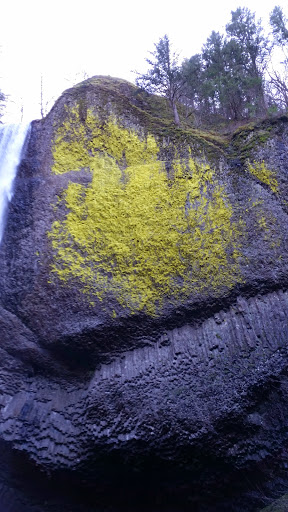 Waterfall «Latourell Falls», reviews and photos, Historic Columbia River Hwy, Corbett, OR 97019, USA