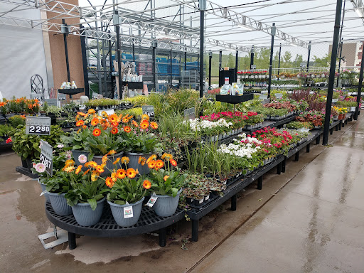 Department Store «Walmart Supercenter», reviews and photos, 1882 Holly St, Blair, NE 68008, USA