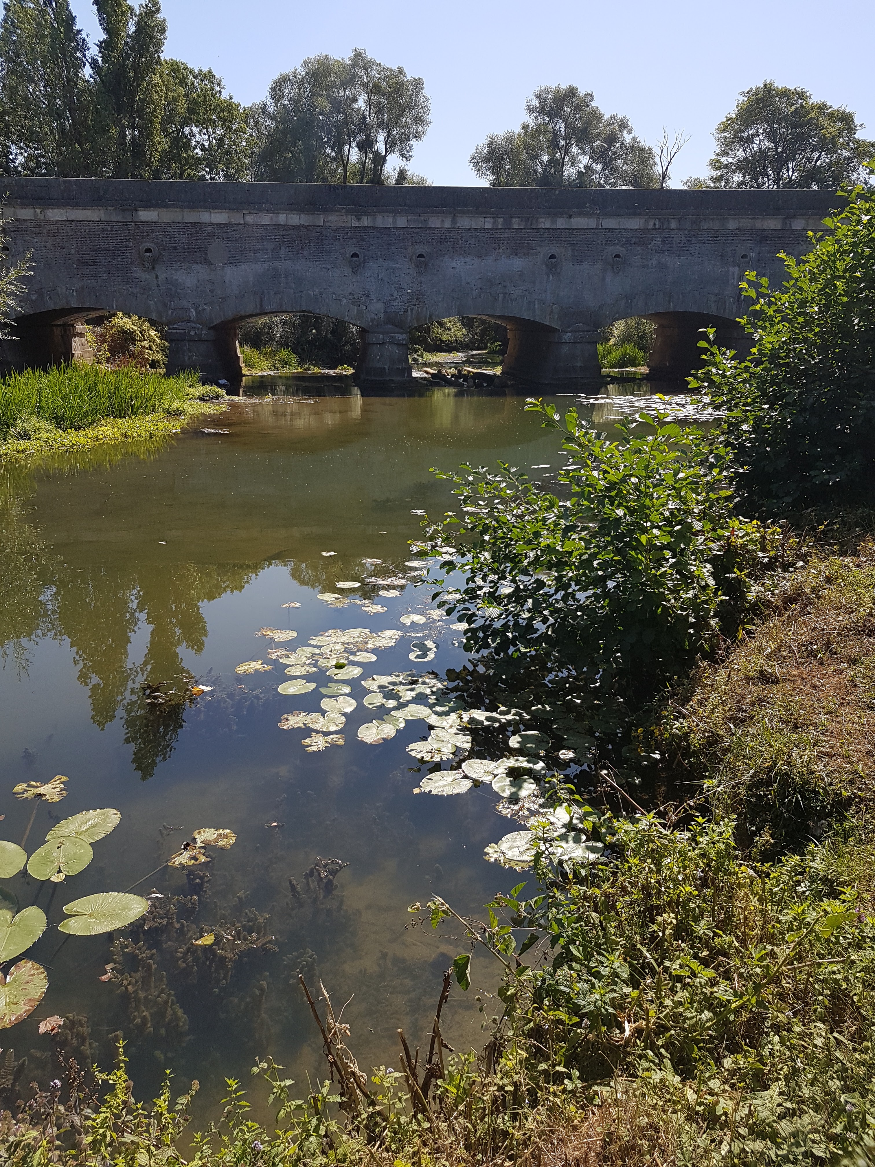 Photo n° 12 de l'avis de Eric.2 fait le 03/09/2019 à 18:41