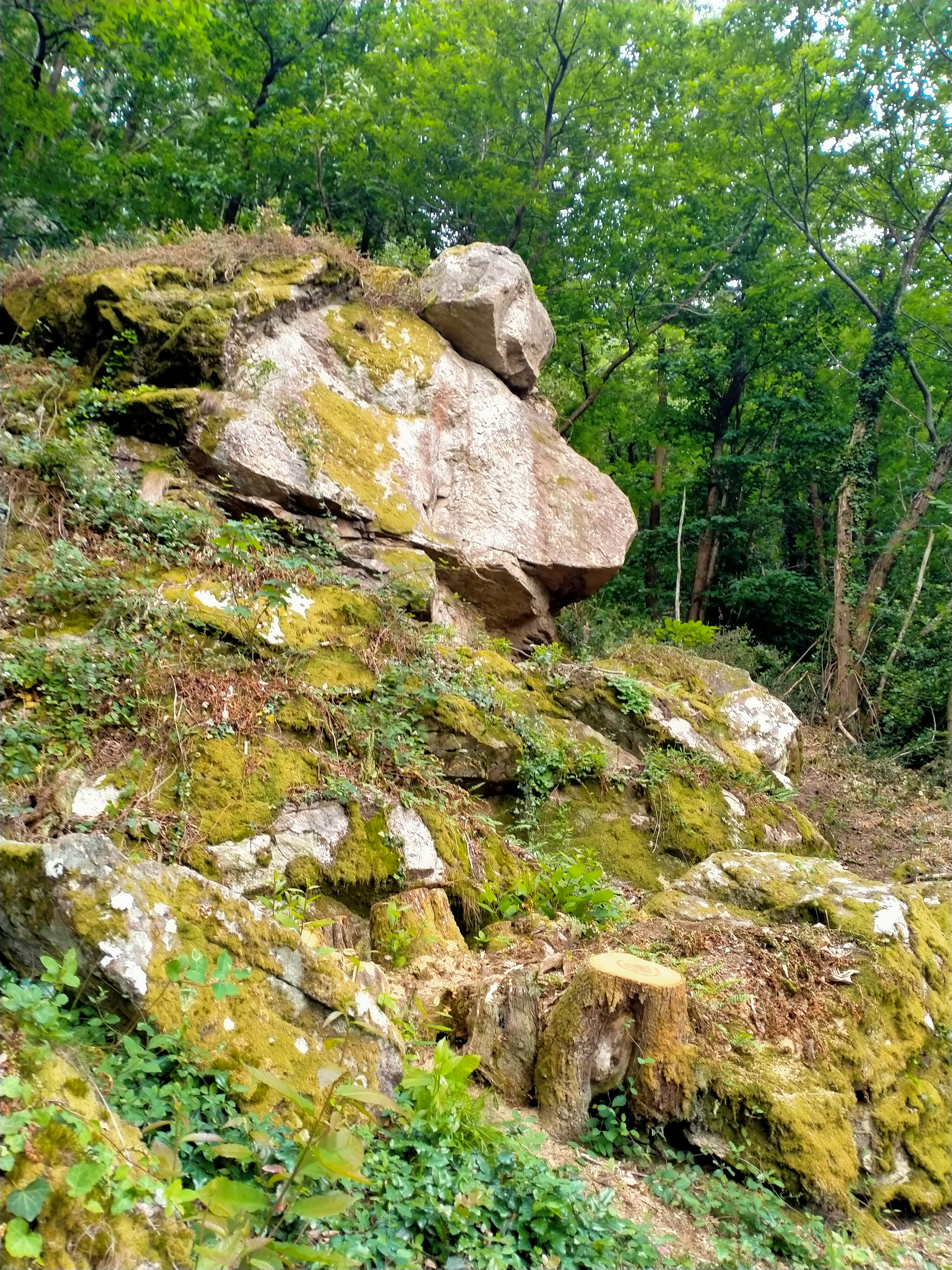 Photo n° 2 de l'avis de Josisa.o fait le 29/05/2022 à 19:56