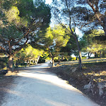 Photo n° 1 de l'avis de Marine.a fait le 29/10/2021 à 10:25 pour Forêt des Pierres Blanches à Sète