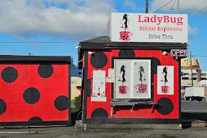 Ladybug Bikini Espresso image