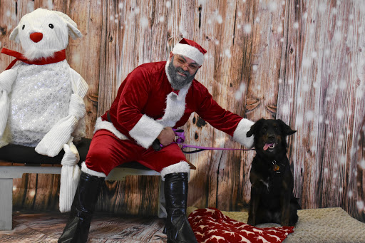 Pet Supply Store «Thomaston Feed of Cheshire», reviews and photos, 851 S Main St, Cheshire, CT 06410, USA