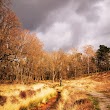 Lage Veluwe