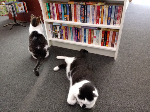 Book Store «Paperback Exchange», reviews and photos, 201 W Main St, Lancaster, OH 43130, USA