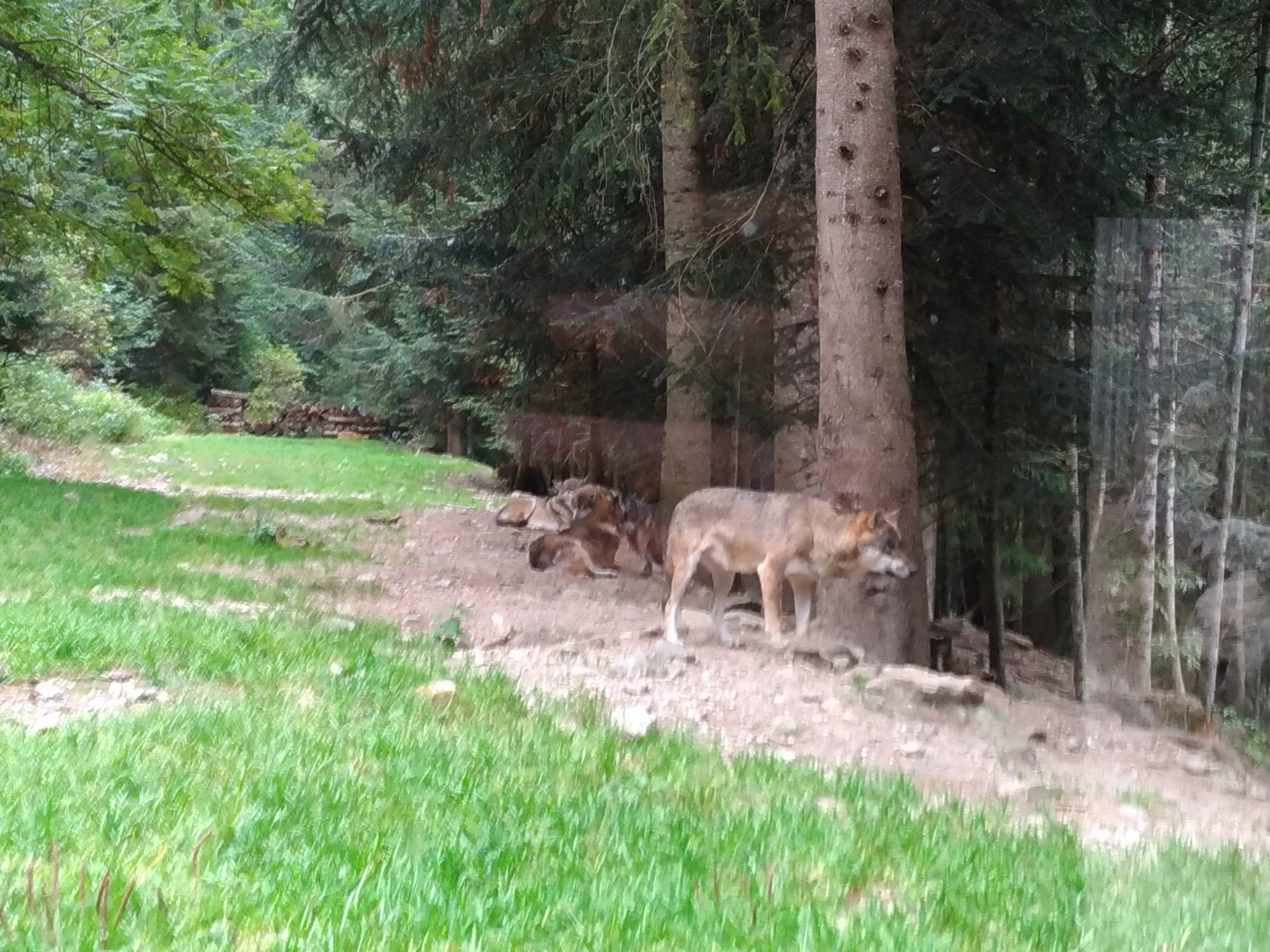 Photo n° 8 de l'avis de Guillaume.. fait le 20/09/2017 à 17:20