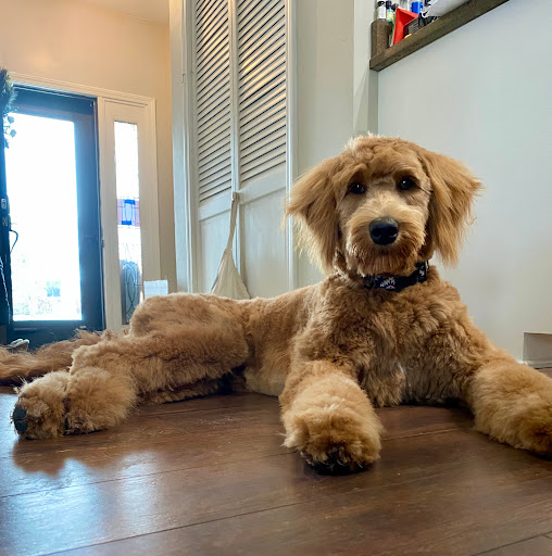 TnT Dynamite Grooming