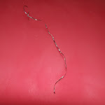 Photo n°1 de l'avis de Maria.r fait le 03/01/2022 à 09:19 sur le  NETPIZZ à Ercolano