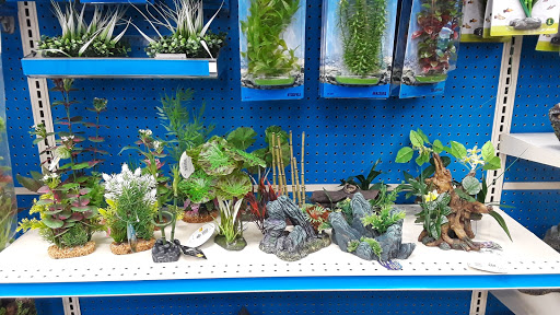 Pet Supply Store «Pet Supermarket, Inc.», reviews and photos, 18445 US-41, Lutz, FL 33549, USA