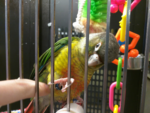 Pet Supply Store «PetSmart», reviews and photos, 1225 Industrial Rd, San Carlos, CA 94070, USA