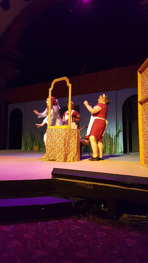 Performing Arts Theater «Schenectady Light Opera Co», reviews and photos, 427 Franklin St, Schenectady, NY 12305, USA