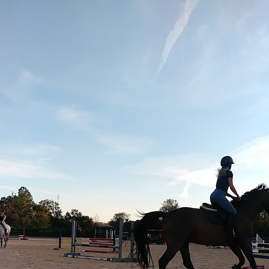 Twelve Oaks Riding Stables