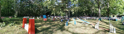 Club d'Education Canine - Agility - École Du Chiot de Chaumes en Brie à Chaumes-en-Brie