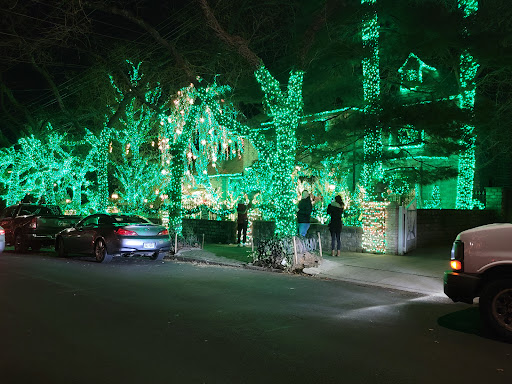 Dyker Heights Christmas Lights image 9