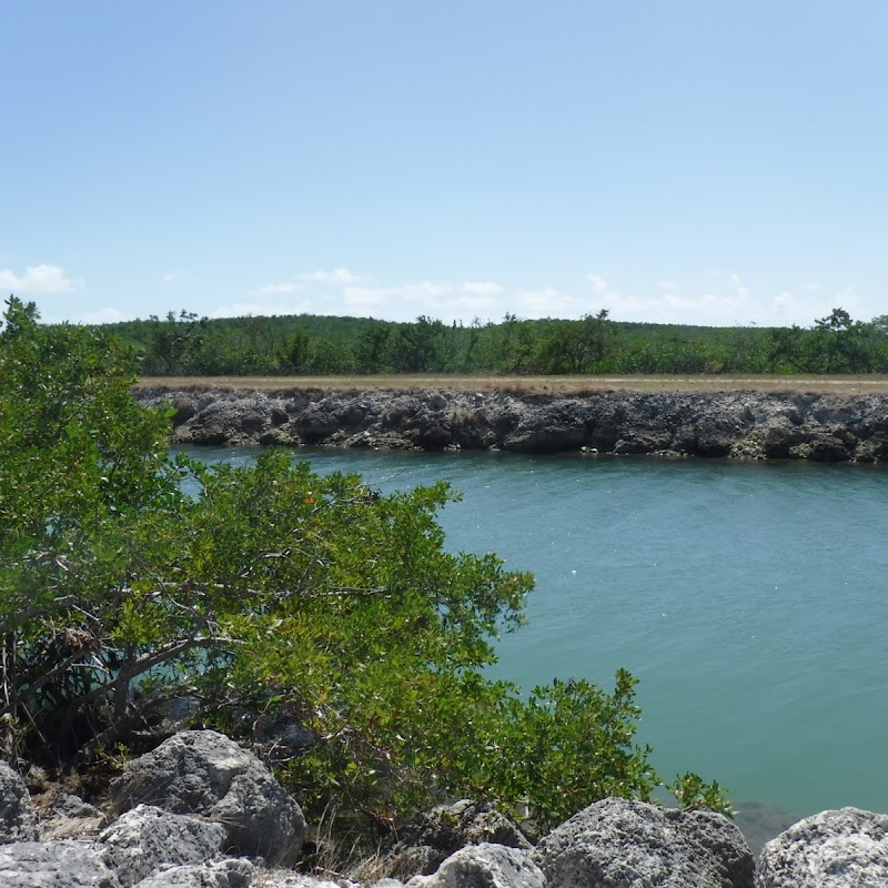 Mangrove Preserve