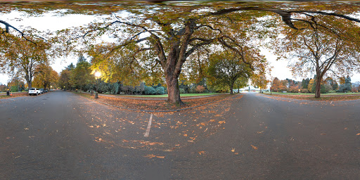 Park «Volunteer Park», reviews and photos, 1247 15th Ave E, Seattle, WA 98112, USA