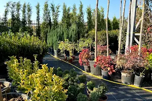 Garden center „Plantopija“ image