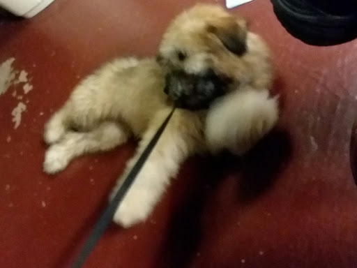 Donut Shop «Krispy Kreme South Charleston», reviews and photos, 42 Riverwalk Plaza McCorkle Ave, South Charleston, WV 25303, USA