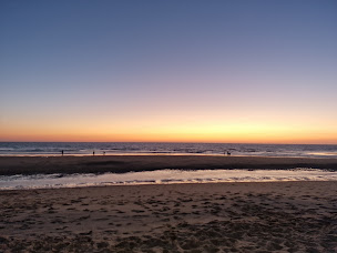 Photo n°15 de Savannah à Lège-Cap-Ferret ()