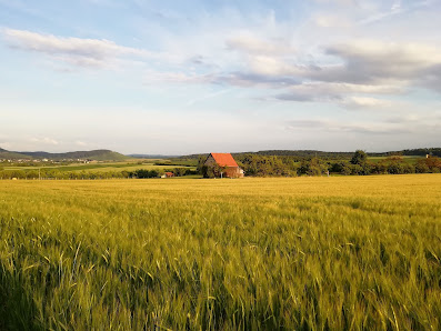 Ludwig Lederer GmbH & Co. KG Lange-Riemen-Weg 6, 71723 Großbottwar, Deutschland