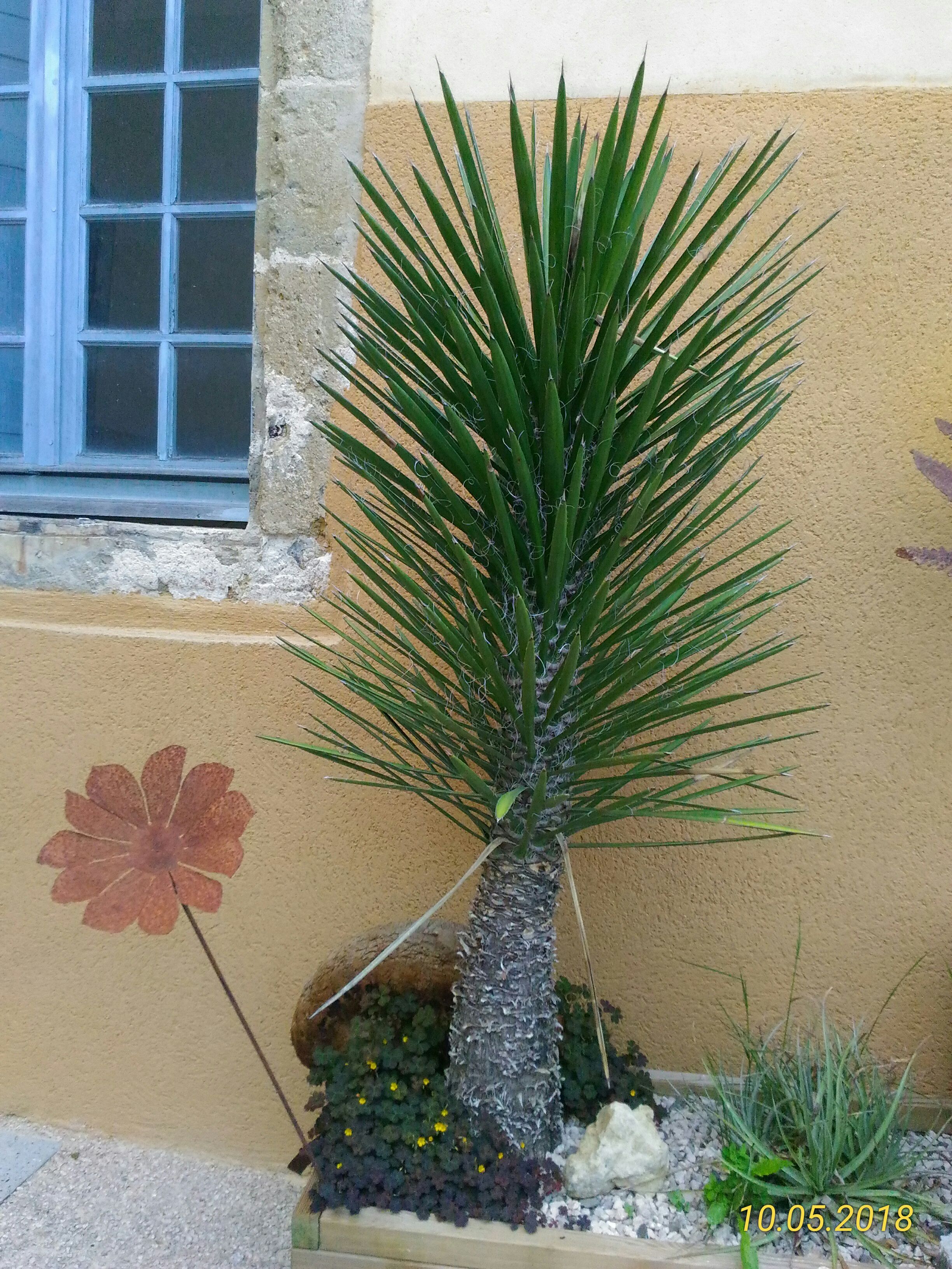 Photo n° 14 de l'avis de Marie.a fait le 13/05/2018 à 06:32