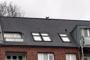 Cat on the roof image