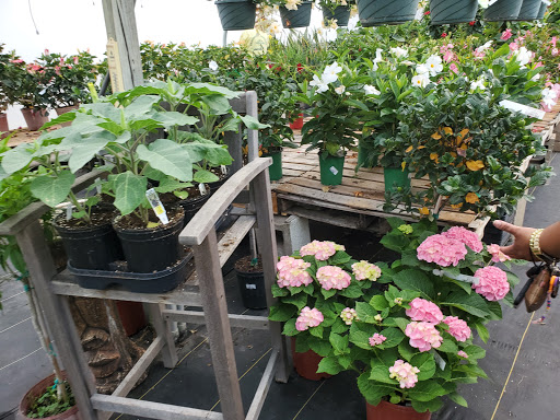 Garden Center «Beachside Gardens & Gifts», reviews and photos, 3725 US-12, Michigan City, IN 46360, USA