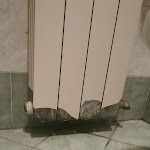 Photo n°2 de l'avis de Alexandra.u fait le 03/08/2022 à 18:22 sur le  ALBERGO RISTORANTE PIZZERIA DA LUIGI à Ghedi