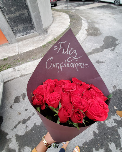 GARDEN ROSES APODACA – Ciudad Apodaca