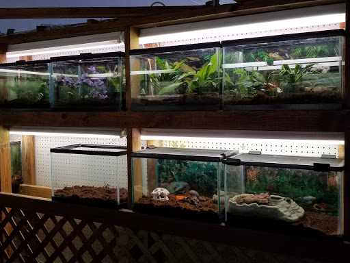 Pet Store «Pet Shop», reviews and photos, 210 W Main St, Sedalia, MO 65301, USA