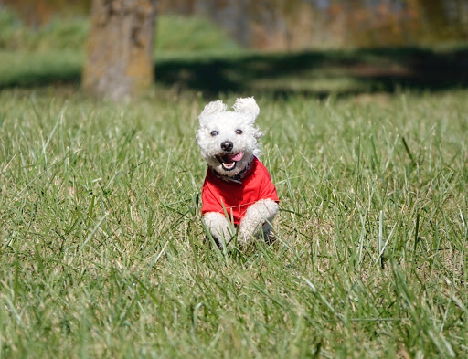 971 Wentzville Pkwy, Wentzville, MO 63385, USA