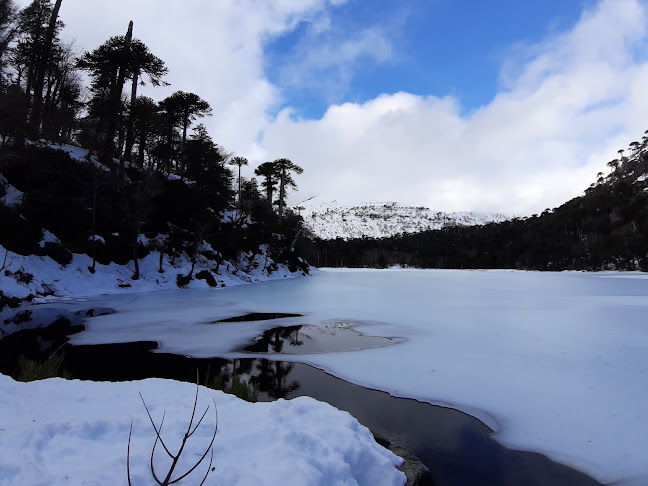 https://www.conaf.cl/parques/parque-nacional-tolhuaca/