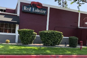 Red Lobster image