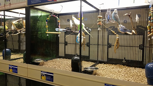 Pet Supply Store «PetSmart», reviews and photos, 730 S Sepulveda Blvd, El Segundo, CA 90245, USA