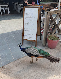 Parc floral de Paris du Restaurant français Le Bosquet à Paris - n°2