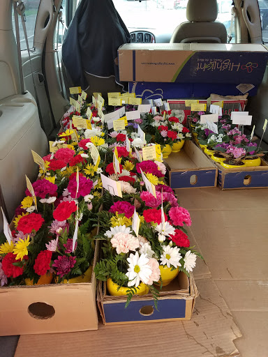 Florist «The Greenery Of Morgantown», reviews and photos, 2960 Main St, Morgantown, PA 19543, USA