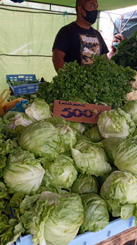 Jose Flores - Copiapó