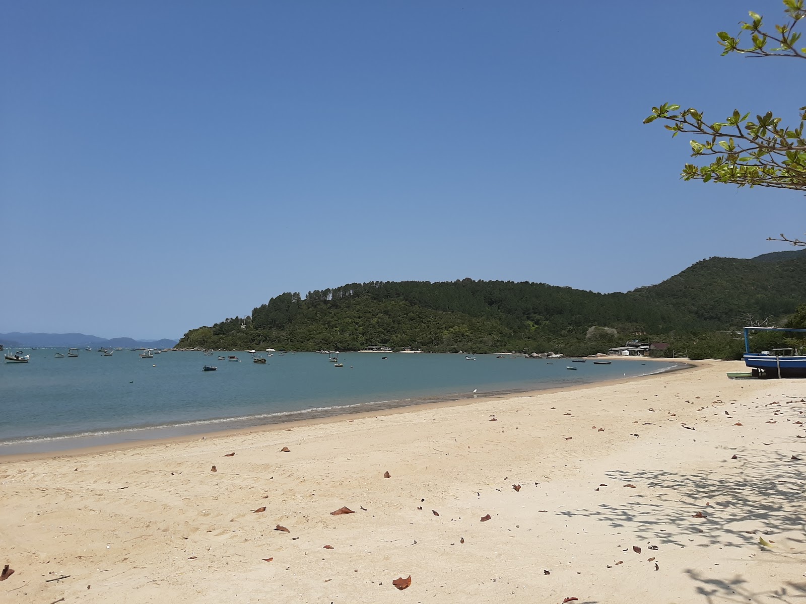 Foto di Praia Fazenda d'Armacao con baia grande