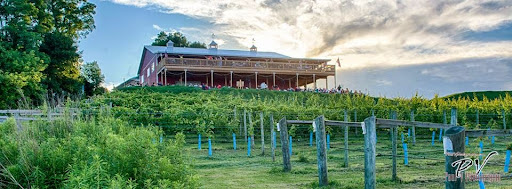 Winery «The Vineyard at Hershey», reviews and photos, 598 Schoolhouse Rd, Middletown, PA 17057, USA