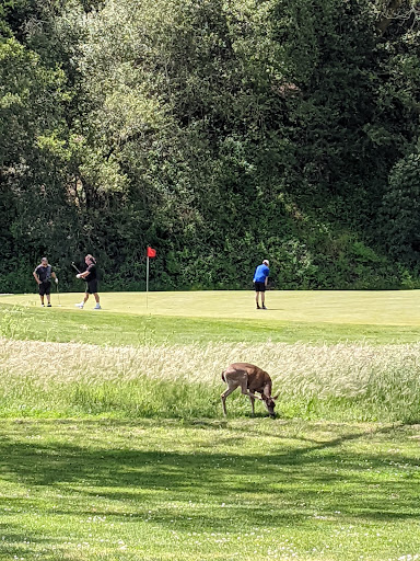 Golf Course «Redwood Canyon Golf Course», reviews and photos, 17007 Redwood Rd, Castro Valley, CA 94546, USA