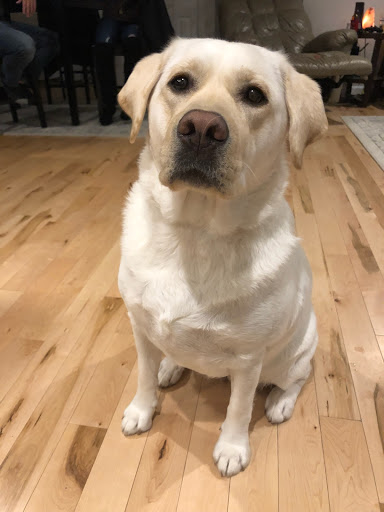 Mortgage Lender «First Portland Mortgage Corp», reviews and photos