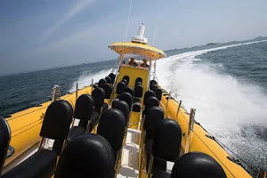 New England EcoAdventures - Kennebunkport Boat Tours image