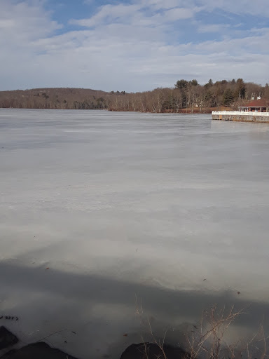 Grocery Store «Swan Lake Country Store», reviews and photos, 1658 Briscoe Rd, Swan Lake, NY 12783, USA