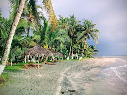 Foto di Mahambo beach con molto pulita livello di pulizia