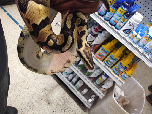 Pet Supply Store «Pet Bazaar», reviews and photos, 490 FL-436, Casselberry, FL 32707, USA