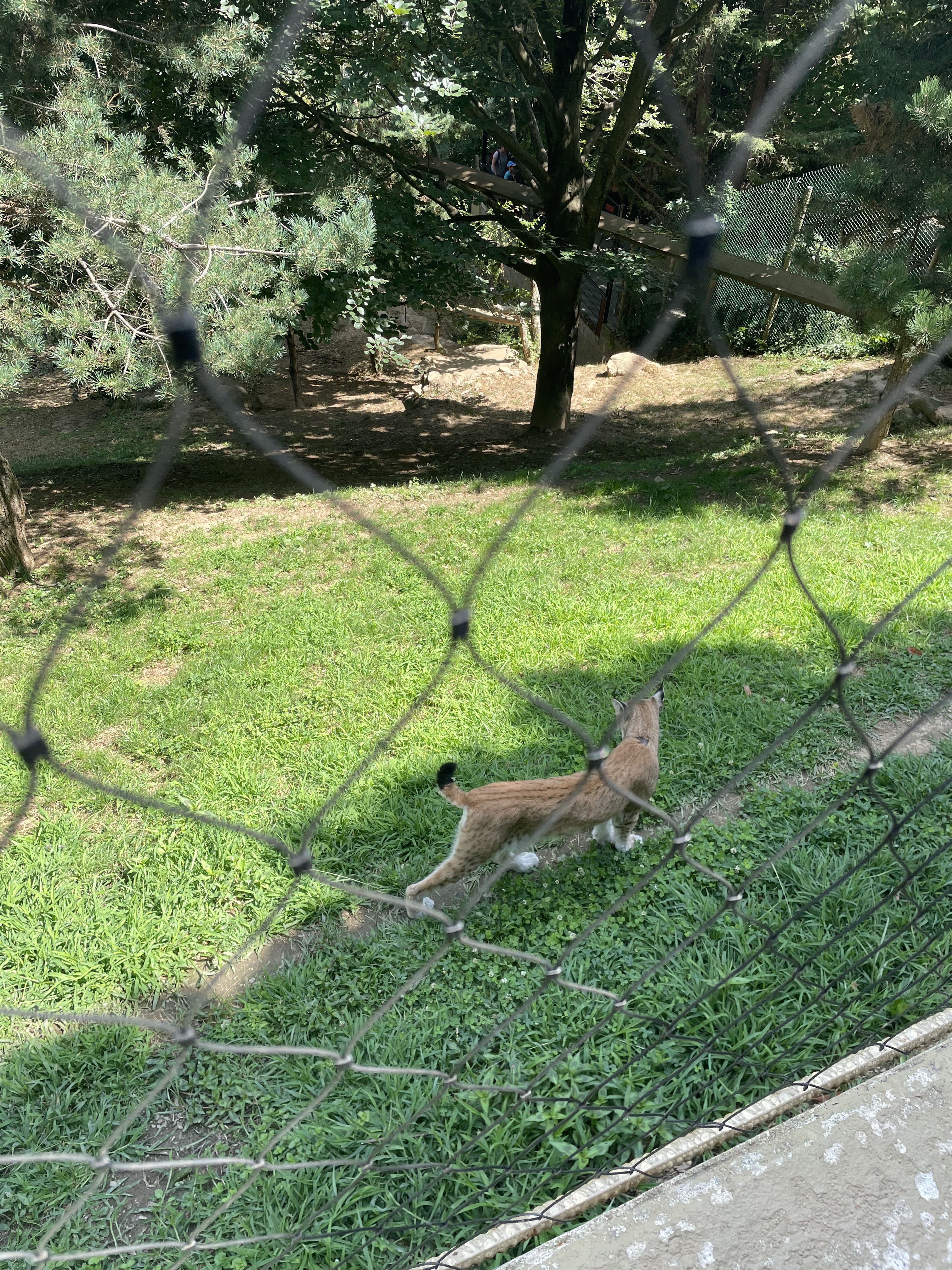 Photo n° 8 de l'avis de Gregory.G fait le 01/08/2022 à 10:31