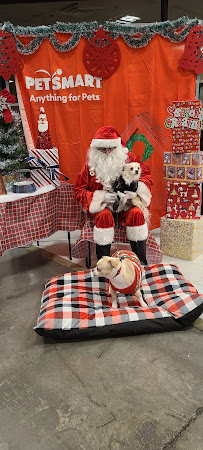 PetSmart - Photo 4 - Car repair in Las Vegas, NV, Las Vegas