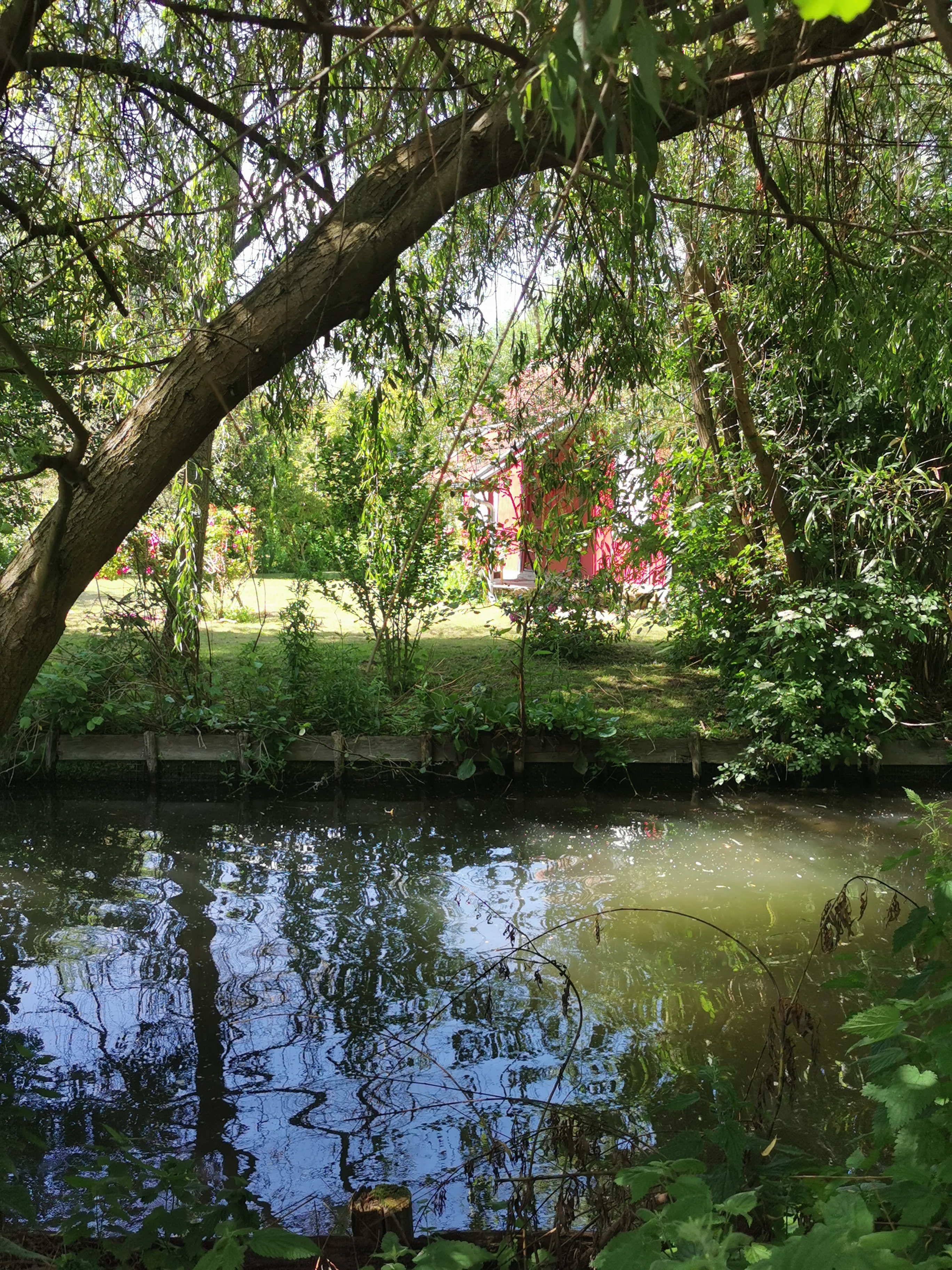 Photo n° 12 de l'avis de pierre.a fait le 13/06/2021 à 15:46