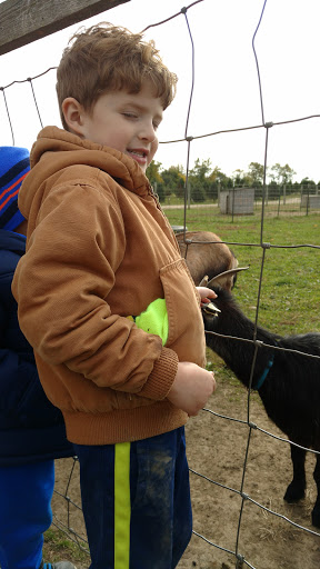 Christmas Tree Farm «Piney Acres», reviews and photos, 1115 E 1000 N, Fortville, IN 46040, USA