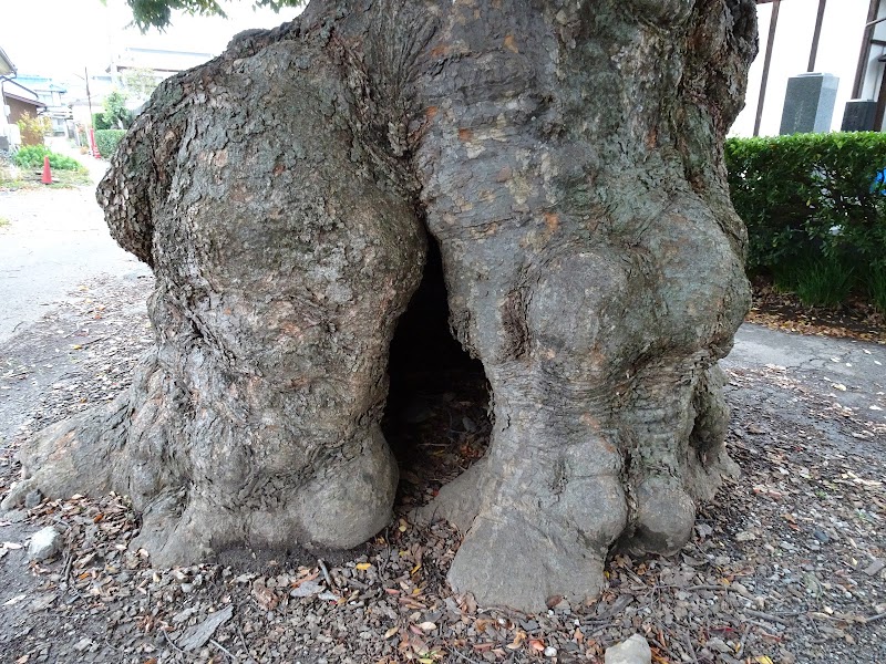 若宮八幡神社